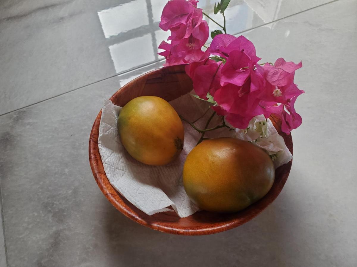 Annasville Comfort Studio Nazareth Екстериор снимка